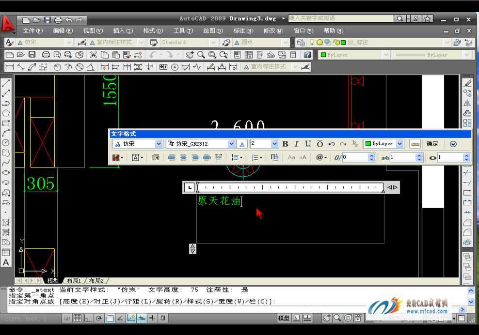 CAD2009LС沼ÈD̳