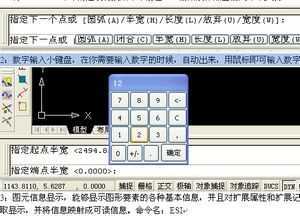 AutoCAD(bio)c(din)ݔ뼰Ϣ@ʾ