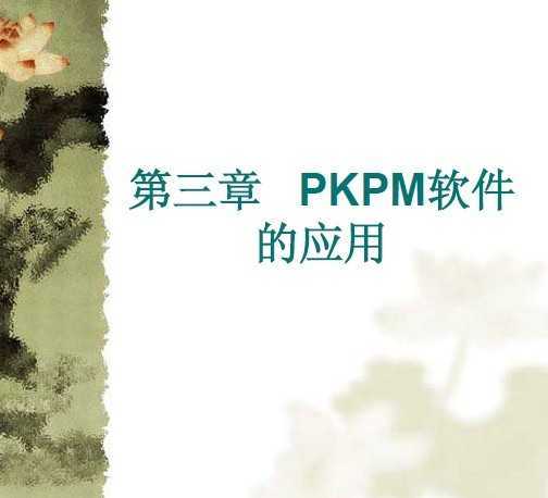 pkpm05̳