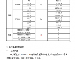 55+90+55mBm(x)ʩDӋ(j) 66P