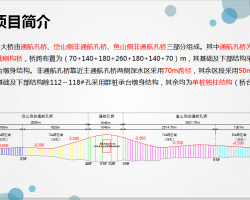 ϳL(zhng)ֱ䓹܏(f)ϘʩP(gun)Ig(sh) 54p