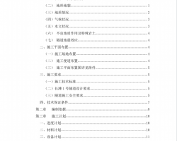 ٹ·Bʽ(xing)ʩPDF 161P